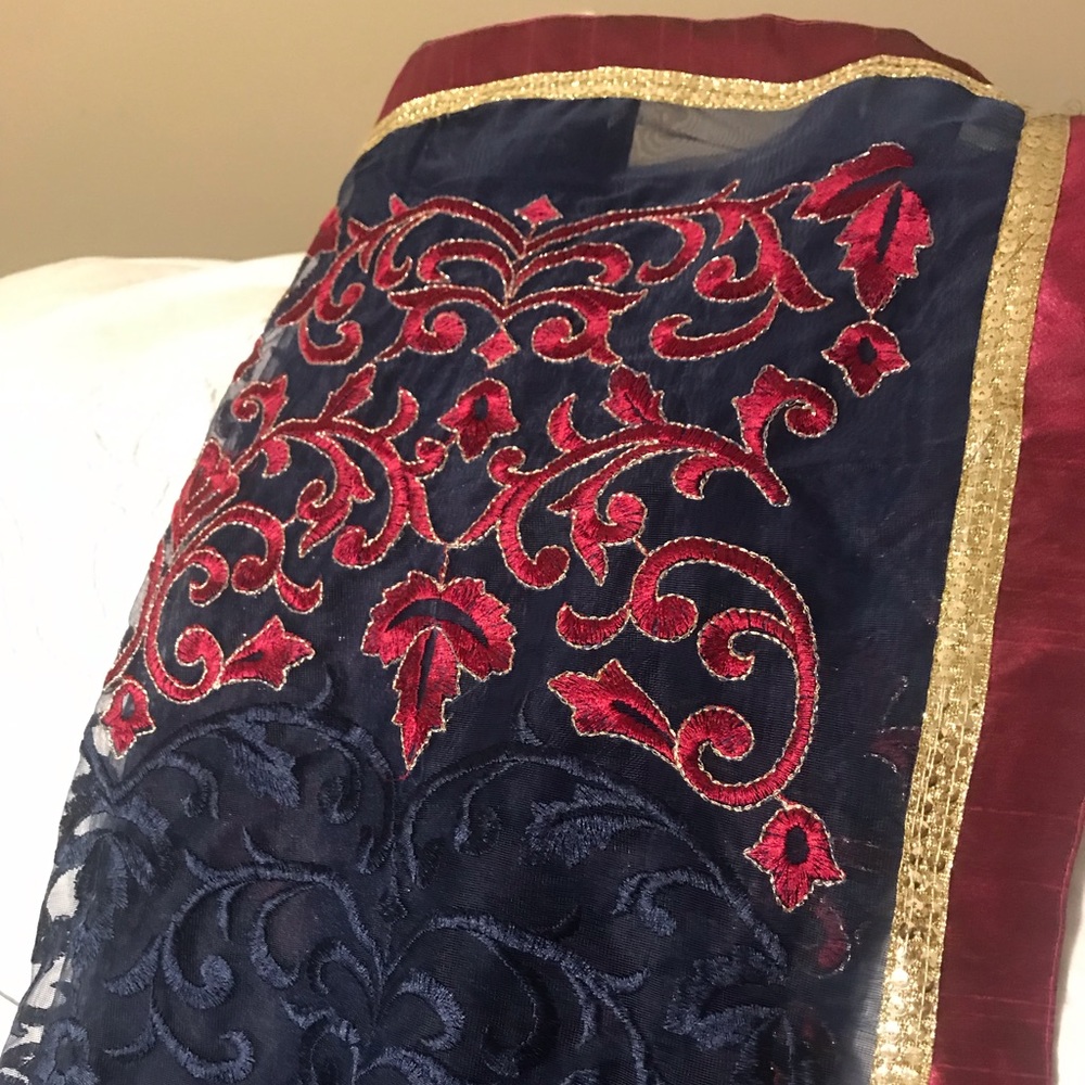 Indian Pakistani saree